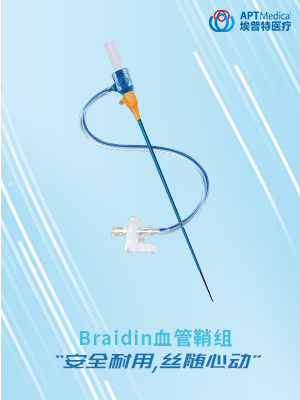 Braidin 血管鞘组